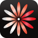 calendario-womanlog